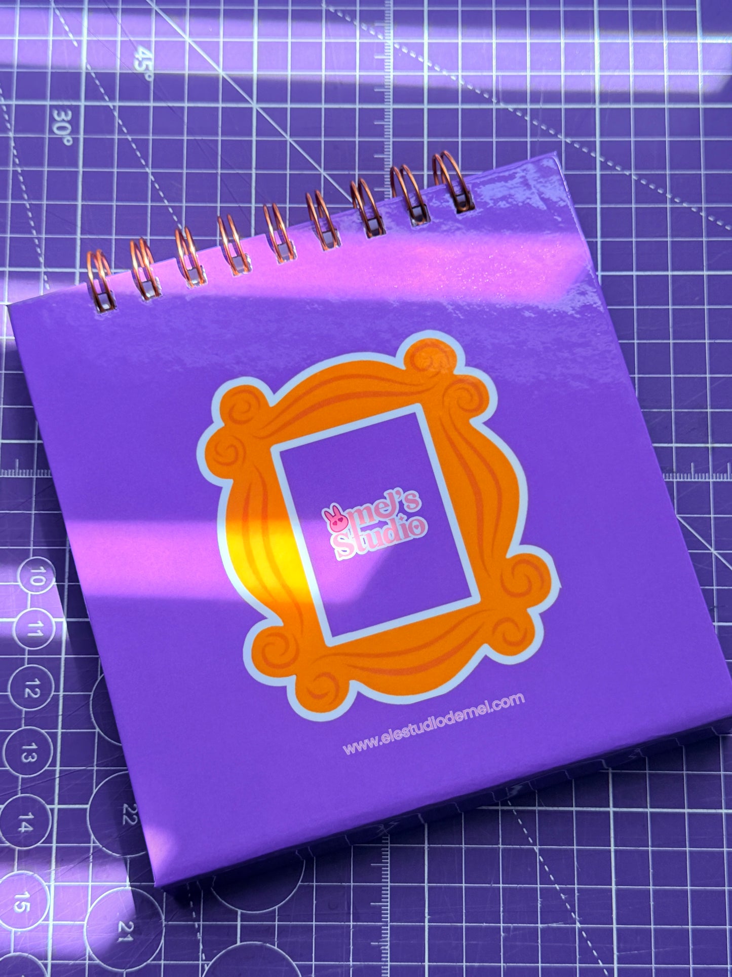 ✨📺 Agenda Friends Pocket – Física 📺✨