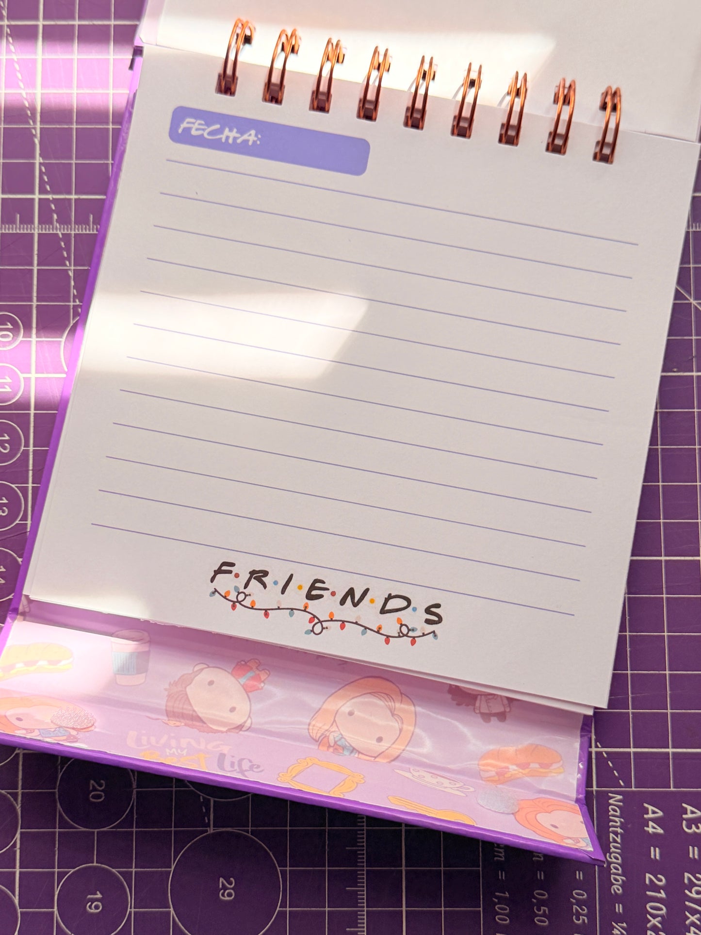 ✨📺 Agenda Friends Pocket – Física  📺✨
