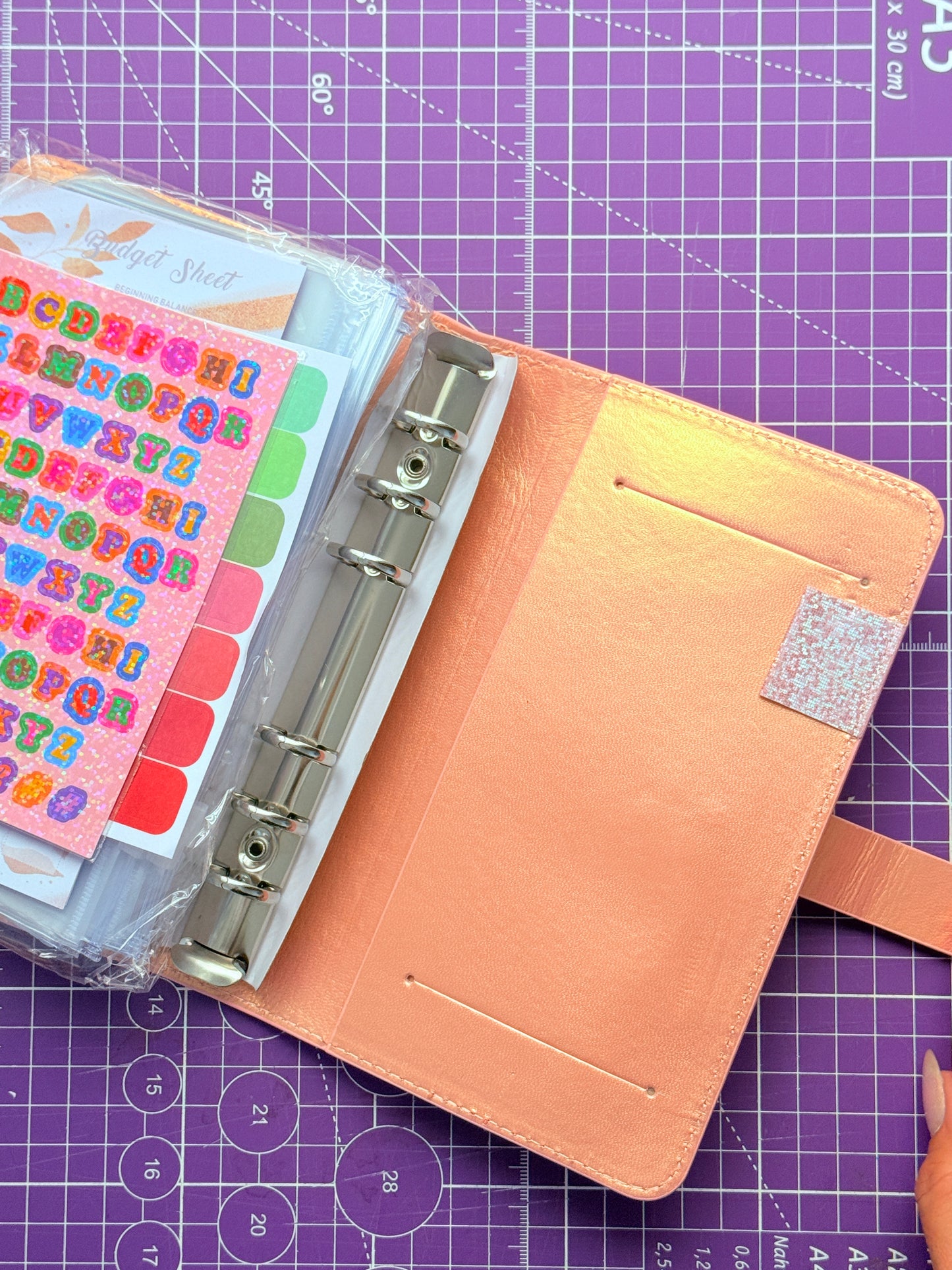 💎✨ Agenda Ahorradora Girly