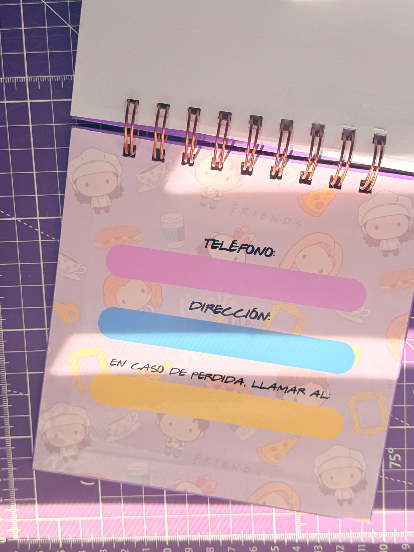 ✨📺 Agenda Friends Pocket – Física  📺✨