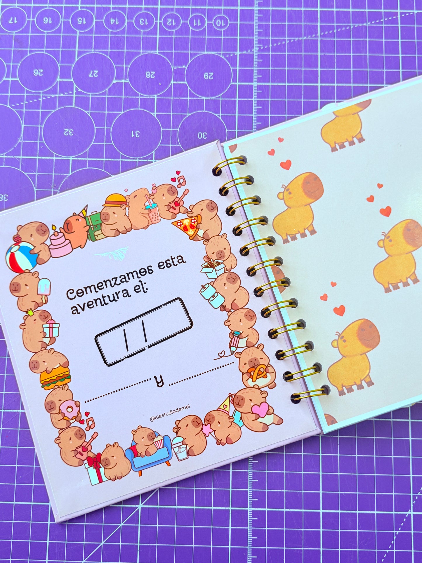 🦦💞 Álbum Digital “100 Citas Juntos” – Versión Capibara ✨