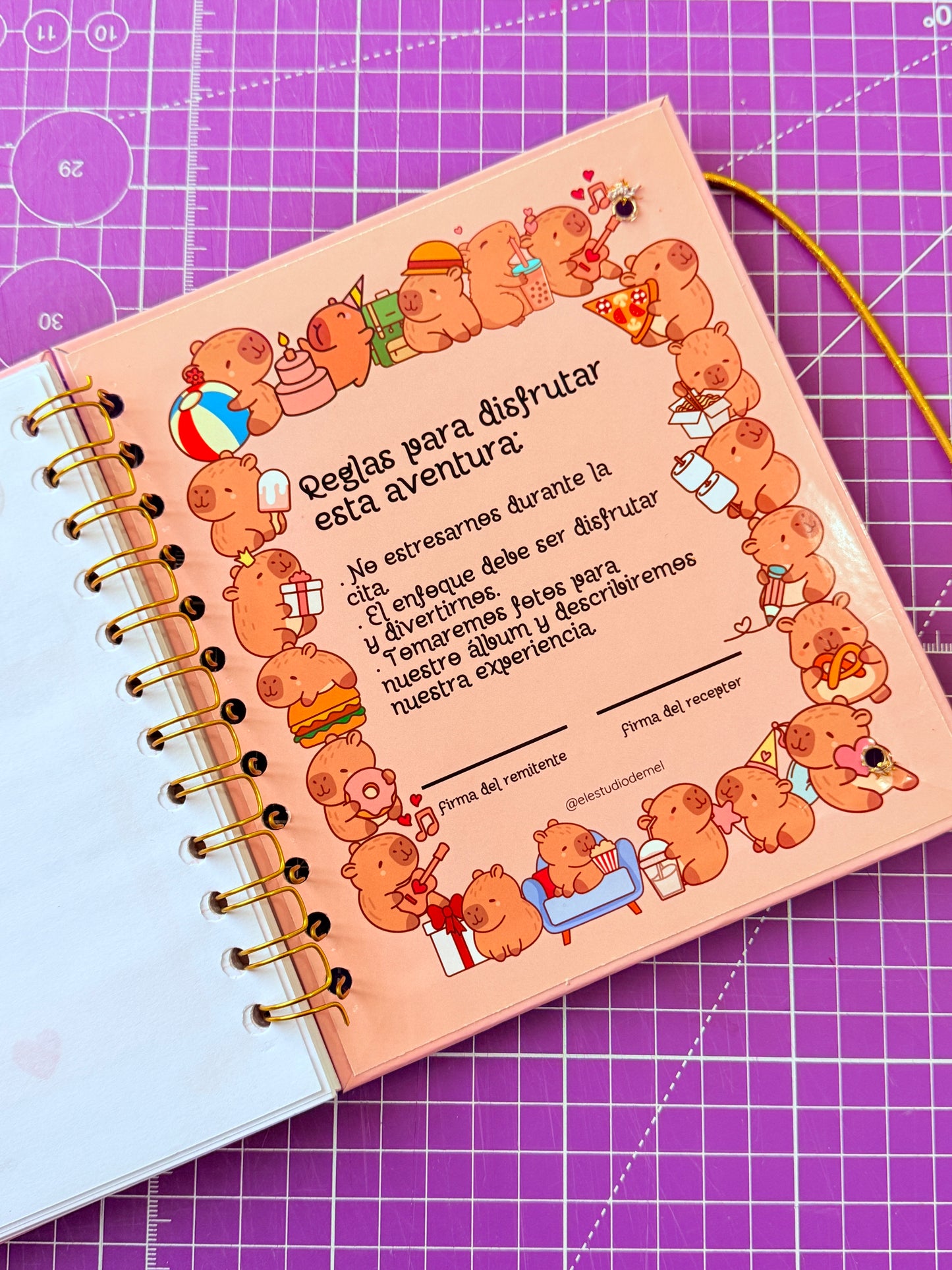 🦦💞 Álbum Digital “100 Citas Juntos” – Versión Capibara ✨